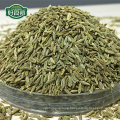 China Gansu black cumin seeds/cumin powder spice wholesale